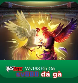 sv888 đá gà