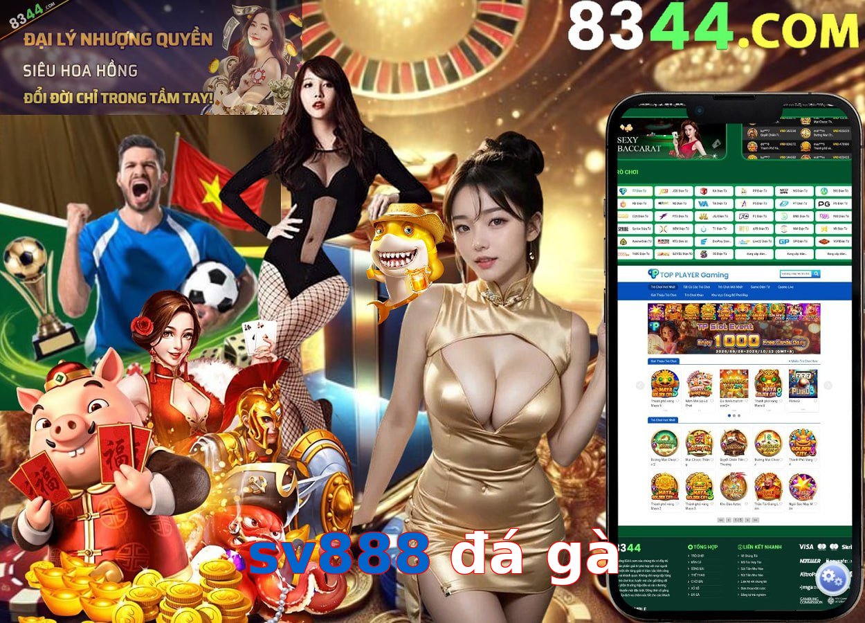 sv888 đá gà