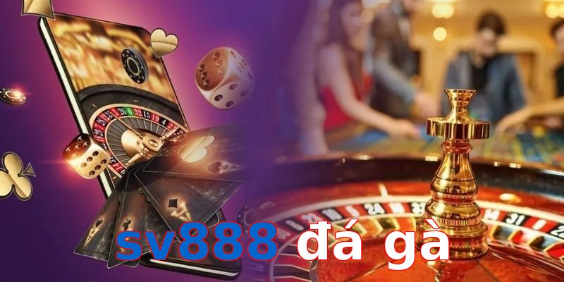 sv888 đá gà